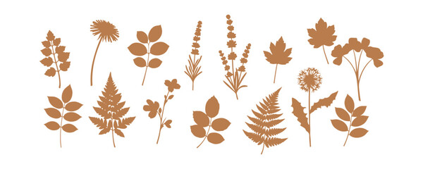 Obraz premium Floral silhouettes with various elements. Monochrome glyphs of natural leaves and herbs. A collection of botanical flower vector illustrations. Set against a white background.