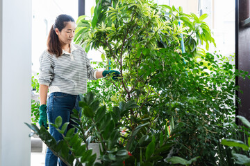 Asian woman enjoys sustainable living by gardening at home with eco friendly plants creating healthy lifestyle surrounded by lush green leaves and natural light indoors