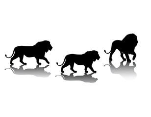 Dynamic Staggered Silhouettes of Lions Walking Across Scene, Isolated