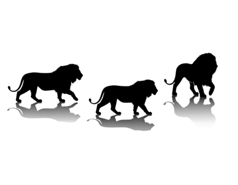 Dynamic Staggered Silhouettes of Lions Walking Across Scene, Isolated