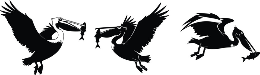 Flying pelican bird silhouettes catching fish wildlife sea bird fishing illustration ocean nature hunting scene vector design artwork