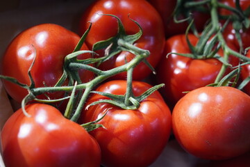 Tomatoes are collected in wooden boxes. Vegetable sale.