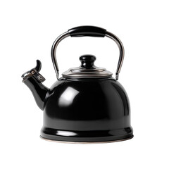 Glossy black kettle with handle and lid