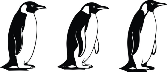 Three penguins standing in line black and white vector illustration, minimalist wildlife design perfect for Arctic, nature, and animal themes © Creative Vector