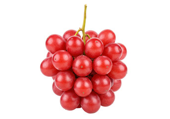 Isolated bunch of fresh red grapes, still life composition, close-up vivid fruit snack