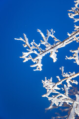 Vertical Rime Frost Closeup with Negative Space Winter Poster