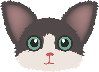 Illustration of a Devon Rex Cat Face