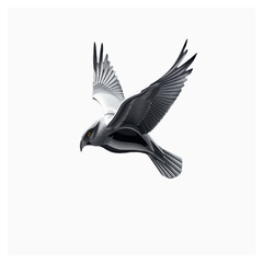 Fototapeta premium Majestic bird of prey soaring against a stark black background graphic transparent background