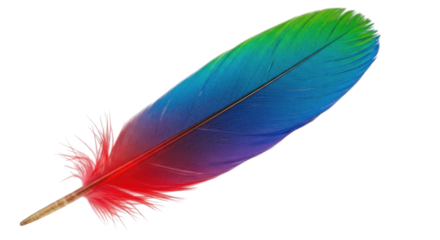 Single Multi-Colored Rainbow Bird Feather Isolated PNG Cutout Transparent