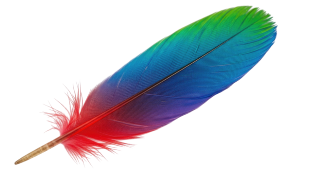 Single Multi-Colored Rainbow Bird Feather Isolated PNG Cutout Transparent