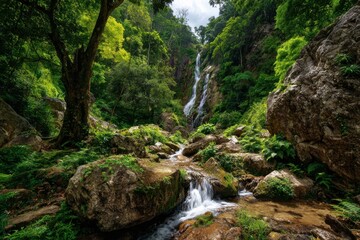 Obraz premium Majestic waterfall cascading over rocky surface surrounded by lush tropical forest showcasing natural beauty and serenity amidst vibrant greenery and sunlight filtering through leaves