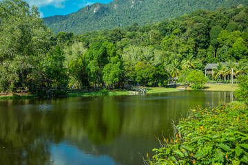 Emerald Forest Lake Reflecting Mountain Scenery Natural Mirror