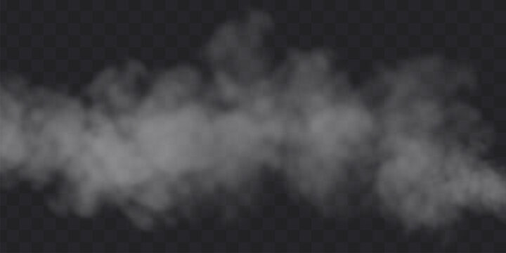 White fog effect on black transparent background. Steam soft cloud overlay vector illustration.