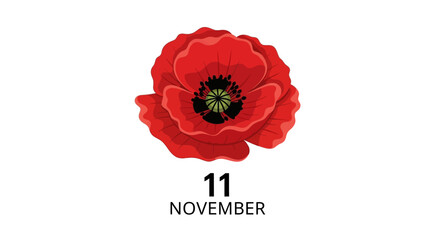Remembrance Day Poppy and Date November 11.