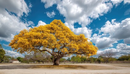 Golden Tree Under a Cloudy Sky.