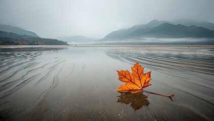 Autumnal Leaf on a Misty Shore.
