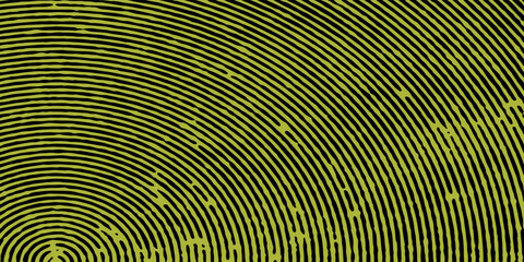 Abstract background with black and yellow curved lines. The background features a gradient with black and yellow hues and a smooth texture. Gradient wave background vector. Green background.