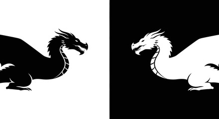 A graphic illustration of two opposing dragons, one black and one white, representing duality, balance, and contrast on a split background.