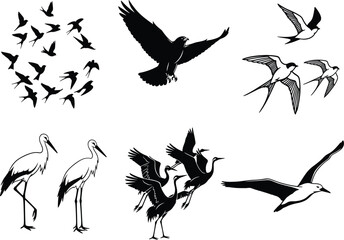 Bird silhouette vector illustration collection featuring cranes, swallows, and seagulls in elegant flying and standing poses for nature design