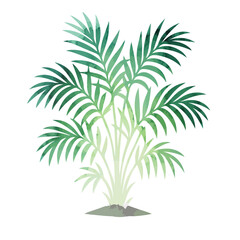 Watercolor areca palm tree object. Hand drawn. Not AI, vector illustration.