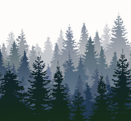 Obraz premium Foggy forest landscape with evergreen trees and mountains in the background