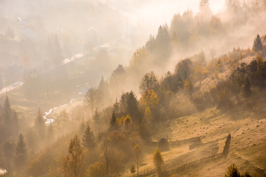 rising fog in valley. rural landscape in autumn. trees on the hill emerge from cold morning mist. village concealed in glowing haze. beautiful countryside scene in carpathian mountains at sunrise