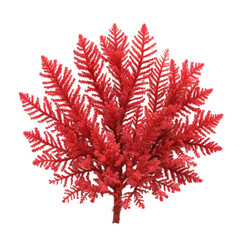 Red algae powder, Astaxanthin