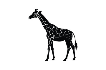 Distinctive silhouette of a graceful giraffe in profile