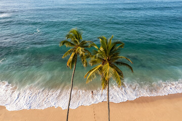 Exotic Seaside Landscape With Palm Trees And Waves On Tropical Beach