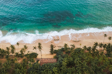 Aerial View Of Tropical Silent Beach With Palm Trees In Sri Lanka