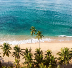 Exotic Tropical Coastline With Palm Trees And Crystal Clear Ocean Waves
