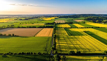 Expansive Agricultural Landscape Under Golden Hour Sunlight Showing Patchwork Fields of Green and Yellow Crops with a Dirt Road Winding Through.