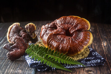 Wild Lingzhi Ganoderma Mushroom In Chinese Style