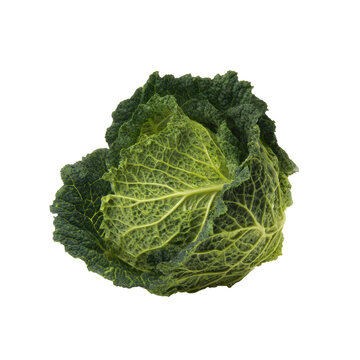 Savoy cabbage isolated on transparent background