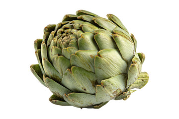 artichoke fruit isolated on white or transparent png