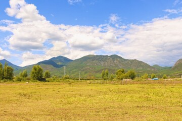 Vast Flower Sea Under Blue Sky And Clouds