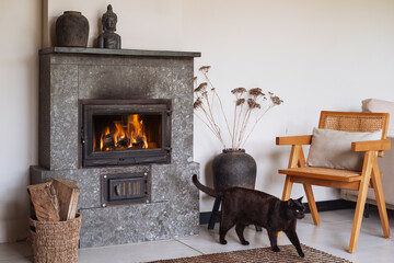 Naklejka premium Cozy living room with modern fireplace and black cat on a winter day
