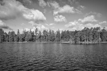 Swedish lake with forest reflection under a blue sky on a sunny day. In black and white