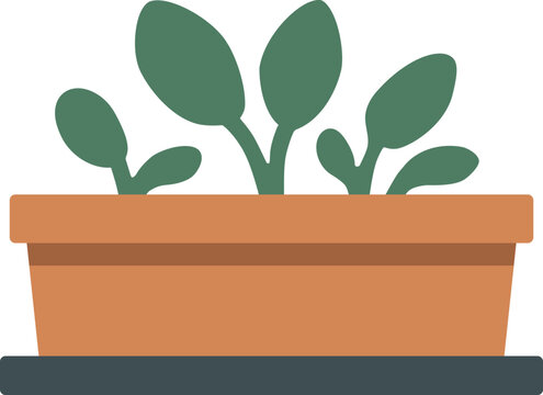 Rectangular planter box with green sprouts