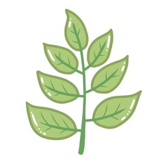 Cute, simple vector illustration of a green compound leaf or fern frond. Ideal for nature, organic, spring, or garden designs. Perfect for web and print graphics.