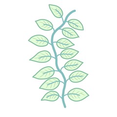 Simple, cute vector illustration of a vertical vine with pastel green leaves and a blue stem. Minimalist botanical border or decorative element for wedding, spring, and nature designs.