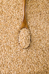 Spoon In Oat Groats Premium Grain Ingredient