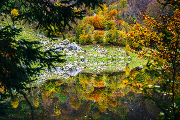 Autumn magic in the Julian Alps. Resia Valley, the woods on the border between Italy and Slovenia.