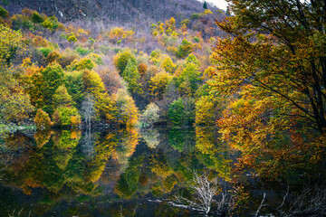 Autumn magic in the Julian Alps. Resia Valley, the woods on the border between Italy and Slovenia.