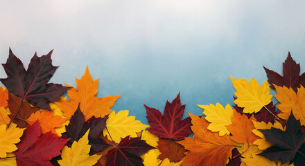 Pattern of dry maple leaves on a colorful background