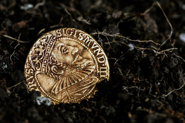 Ancient coins of the Polish King Sigismund III Vasa.A hoard of medieval European gold and silver coins.Numismatics.Collection of old coins.Antikvariat. © bukhta79