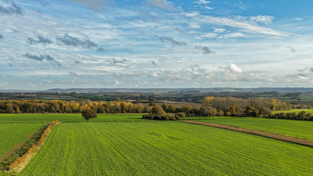 Aerial view of green farmland fields with tree-lined hedgerows, distant hills and a bright blue sky. Peaceful rural countryside scene showing open agricultural landscape in natural daylight. - Powered by Adobe