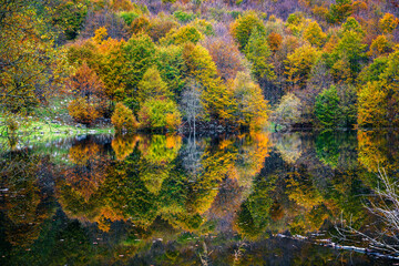 Autumn magic in the Julian Alps. Resia Valley, the woods on the border between Italy and Slovenia.