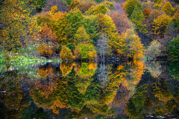 Autumn magic in the Julian Alps. Resia Valley, the woods on the border between Italy and Slovenia.