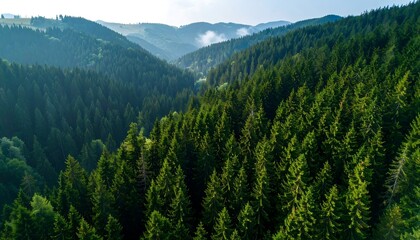 Verdant mountain valley from above